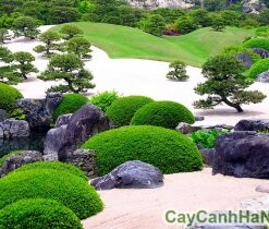 Cát làm tiểu cảnh sân vườn Nhật Bản
